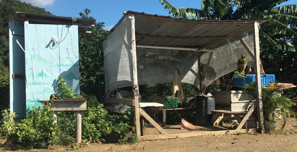 101626980_1374129906113509_726881497830653952_o