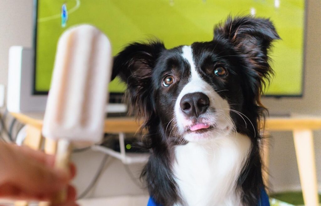 104617650_2910720029045958_2203844489750597684_o