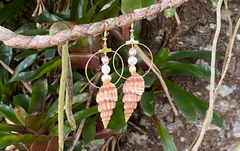 106315165_2756738411275554_6232239880339648467_o