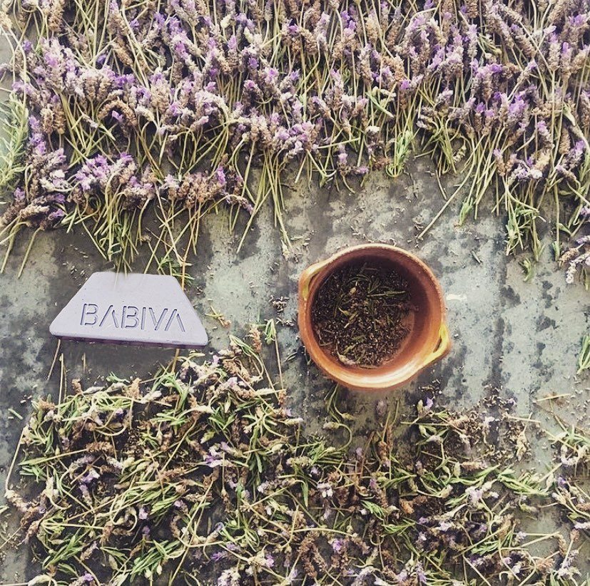 226865760_461121265054804_5563362673845882801_n