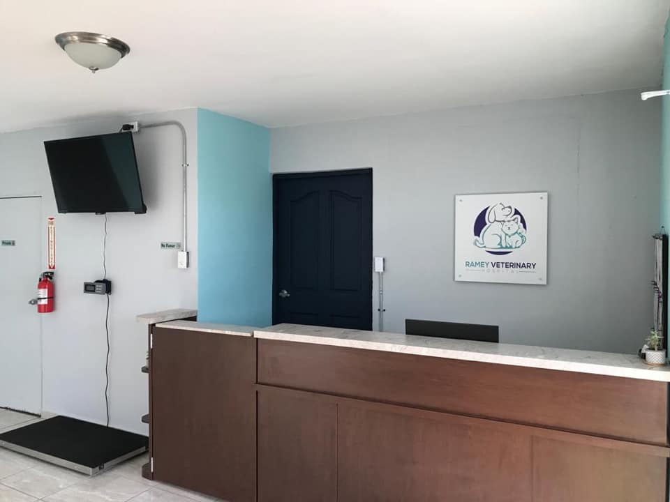 62533857_336574933690078_8793212709765120000_n