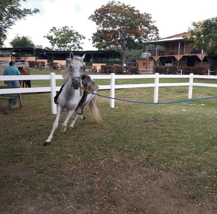 FA84AABD-0808-465B-9395-FF92DF93E9EA